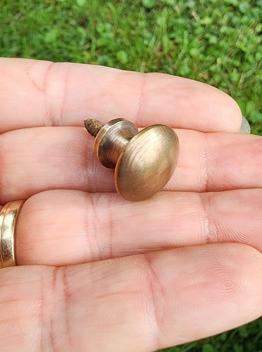 SMALL Antique Vintage Style Barrister Bookcase Knobs Pulls, Handles 5/8" dia. Solid Brass, Macey Globe Wernicke bookcase knob #K2