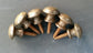 8 Solid Brass VERY SMALL Stacking Barrister Bookcase 7/16" Knobs drawer Pulls #K