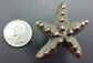 4 Starfish Knobs Handles Pulls , Solid Brass 2" Beach, Ocean, Seaside, Nautical #K9